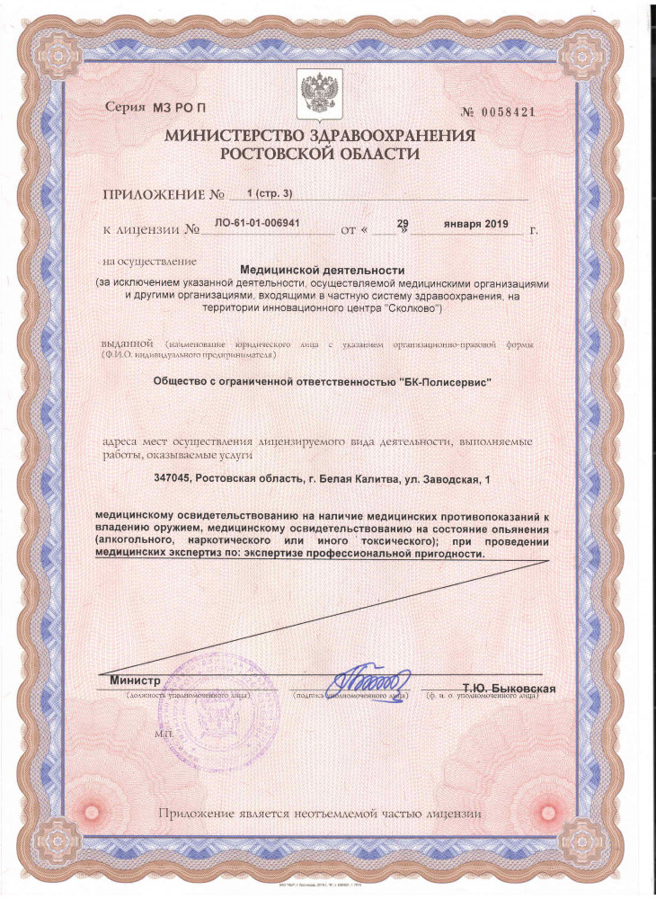 Министерство здравоохранения Ростовской области. Приложение 1 стр 3 0