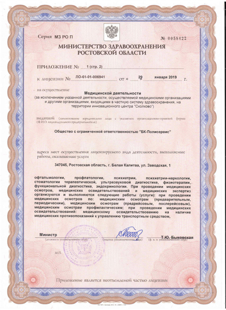 Министерство здравоохранения Ростовской области. Приложение 1 стр 2 0